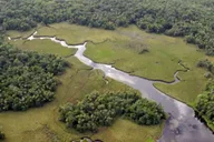 Crystal River Wildlife Boat Tour with Naturalist Guide thumbnail 3