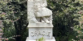 Savannah Bonaventure Cemetery Tour