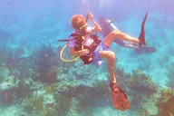 Key West Reef Dive Trip thumbnail 3