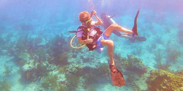 Key West Reef Dive Trip - Image 3