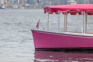 San Diego Pink Boat Cruise thumbnail 4