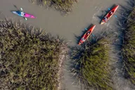 Charleston Folly River Kayak Dolphin Safari at Sunset thumbnail 2