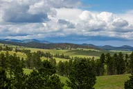 Southern Black Hills Wind Cave and Wildlife Tour thumbnail 3