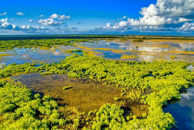 Everglades National Park Self-Guided Audio Tour - Image 6