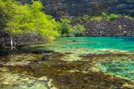 Captain Cook Snorkel Tour at Kealakekua Bay thumbnail 5