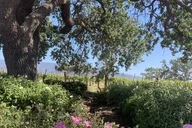 Santa Barbara Wine Tour thumbnail 1