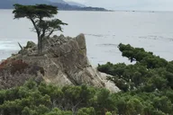 San Francisco Carmel, Monterey & Big Sur Private Tour thumbnail 3
