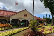 Oahu Pearl Harbor and Dole Pineapple Tour thumbnail 1