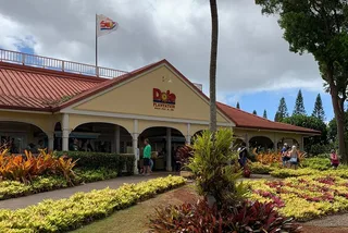 Oahu Pearl Harbor and Dole Pineapple Tour