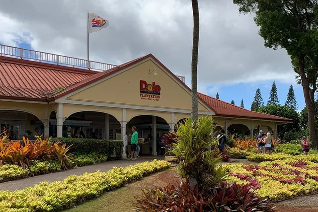 Oahu Pearl Harbor and Dole Pineapple Tour - Image 1