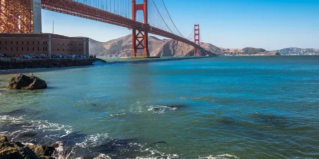 San Francisco Muir Woods and Sausalito Tour with Optional Alcatraz - Image 2