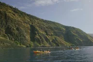 Kealakekua Bay Kayak and Snorkel Adventure thumbnail 5