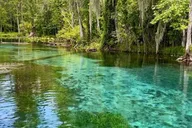 Silver Springs Clear Kayaking Wildlife Tour 2 hr thumbnail 4