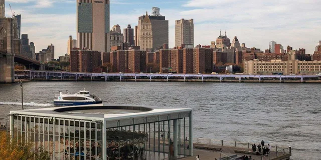 Brooklyn Bridge and DUMBO Walking Tour - Image 5