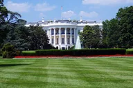 Washington DC Walking Tour: Secrets & Scandals Half-Day thumbnail 1