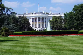 Washington DC Walking Tour: Secrets & Scandals Half-Day