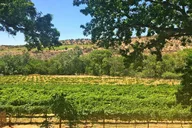 Sedona Wine Tour by Limo Bus with Charcuterie thumbnail 4