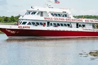 Cape May Whale and Dolphin Watching Cruise thumbnail 2