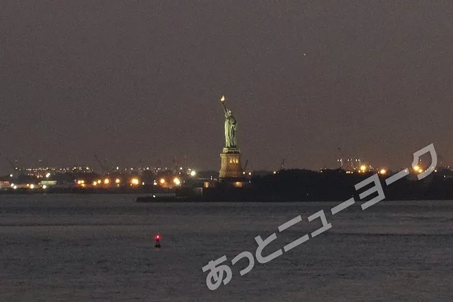 New York Night View Tour with Japanese Guide - Image 3