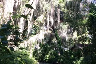 Orlando City Tour with Hotel Pickup thumbnail 5