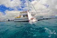 Honolulu Snorkel & Ocean Waterpark Experience thumbnail 4