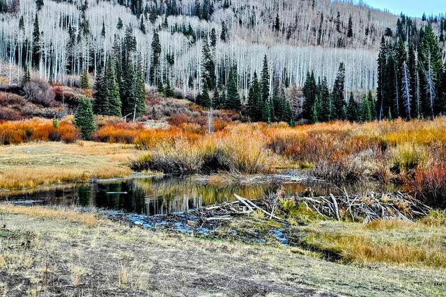 Heber Valley Off-Road Adventure - Image 5