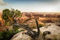 Monument Valley Hunts Mesa Tour 7 hr thumbnail 2