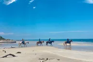 Miami Horseback Riding on Pristine Waters thumbnail 1