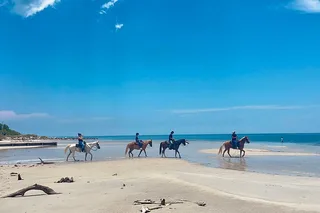 Miami Horseback Riding on Pristine Waters