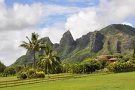 Kauai Highlights and Movie Sites Tour thumbnail 6