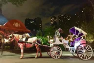 New York Horse Carriage Ride in Central Park 45 min thumbnail 4