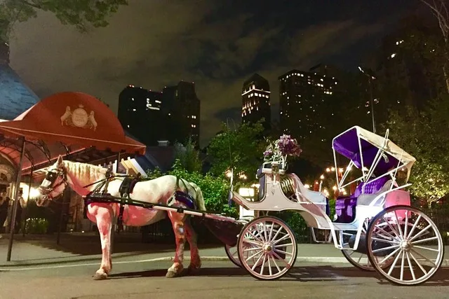 New York Horse Carriage Ride in Central Park 45 min - Image 4