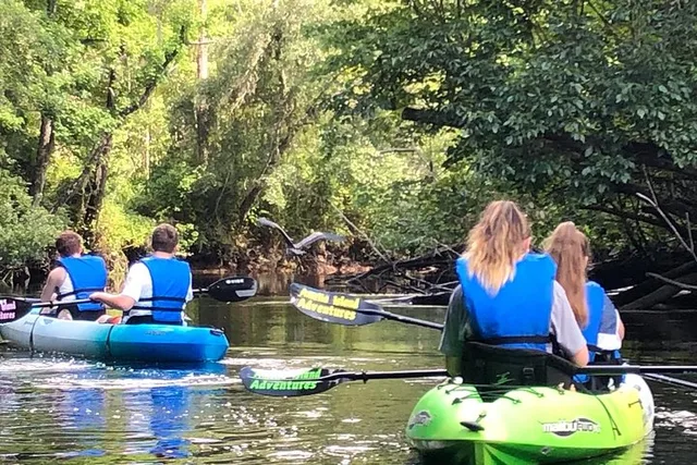 Yulee Kayaking Adventure 2 hr - Image 6