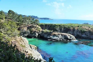 Point Lobos Self-Guided App Tour