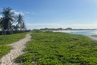 Kailua-Kona Hike and Swim with Native Hawaiian thumbnail 5