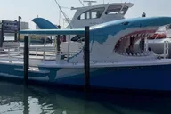 Destin Dolphin Watching and Sunset Cruise thumbnail 6