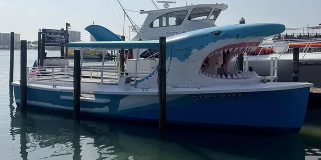 Destin Dolphin Watching and Sunset Cruise - Image 6