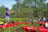 New Orleans Manchac Swamp Kayak Tour thumbnail 3
