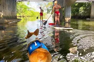 Fort Lauderdale Paddleboard Tour with Mr. Beaches thumbnail 2