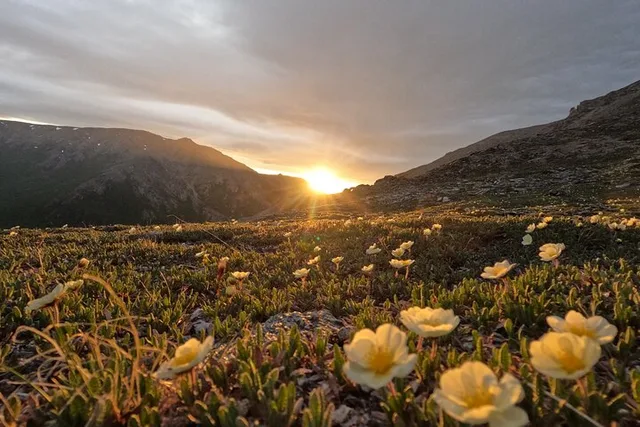 Denali Park Tour from Fairbanks - Image 2