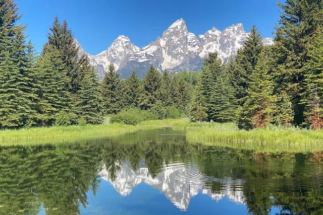 Grand Teton National Park Private Tour with Picnic Lunch - Image 1