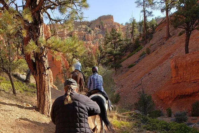Utah Thunder Mountain Horseback Ride - Image 4