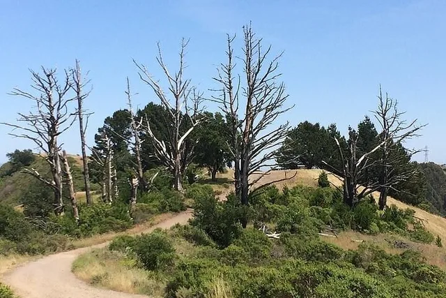 Point Reyes Self-Guided Audio Tour - Image 3