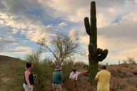 Scottsdale Hiking Tour in McDowell Sonoran Preserve thumbnail 4