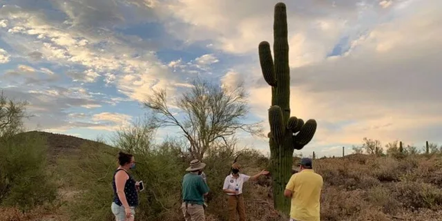 Scottsdale Hiking Tour in McDowell Sonoran Preserve - Image 4