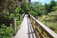 Miami Beach E-Bike Tour thumbnail 6