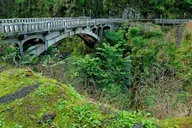 Maui Road to Hana Sightseeing Tour with Lunch thumbnail 3