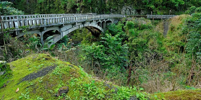 Maui Road to Hana Sightseeing Tour with Lunch - Image 3