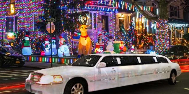 Brooklyn Christmas Limousine Tour - Image 1