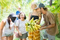 Maui Farm Tour thumbnail 1